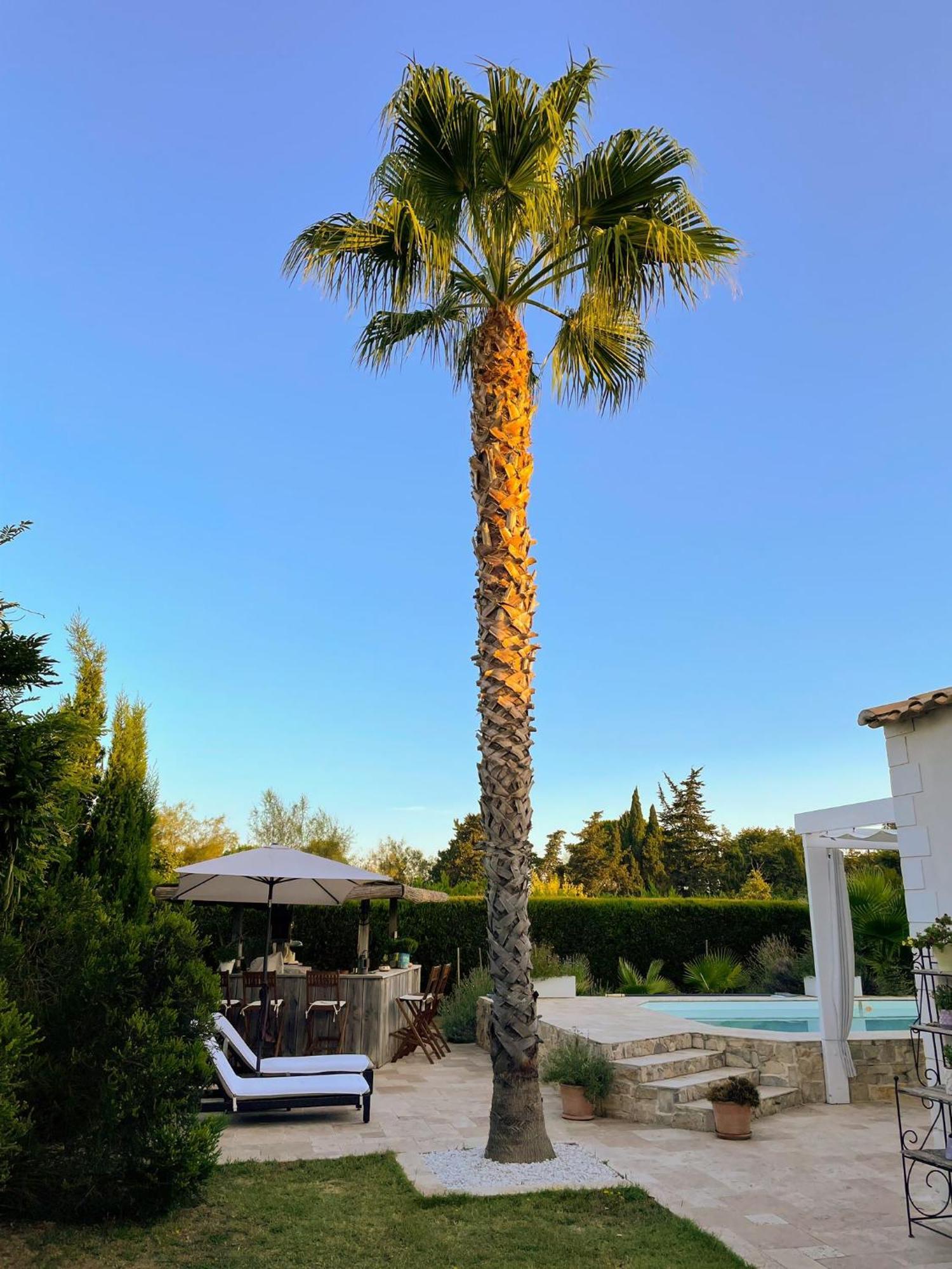 Aigues Marines Bed & Breakfast Ngoại thất bức ảnh